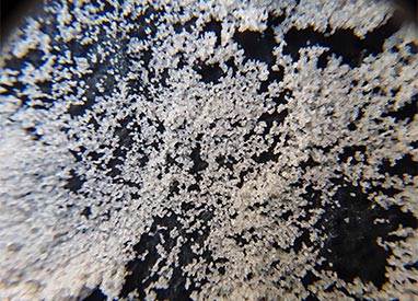 Silica Sand Closeup